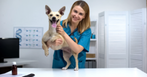 clínicas veterinarias
